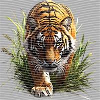 Animal Integration-DW 1803